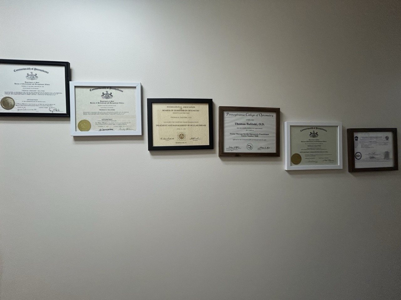 Professional credentials at Balitski Vision